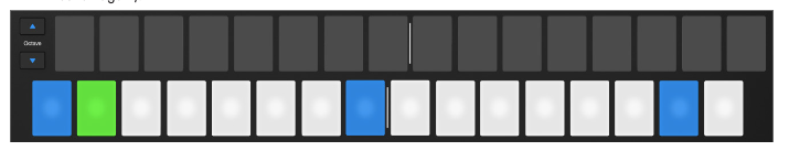 Simple Chordモードのパッド表示